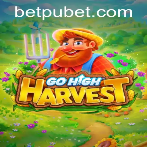 The Exciting World of GoHighHarvest